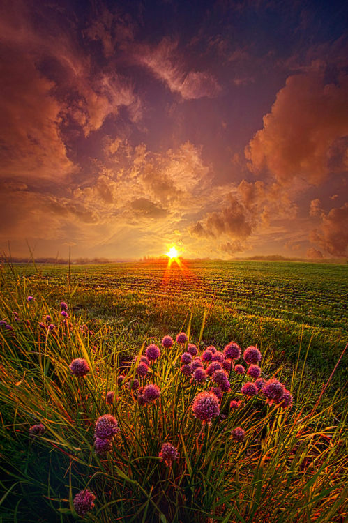 sitoutside:   The Infinite Space Between Words   by  Phil~Koch  