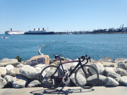 jaxmeowmeow:  Battling 77 miles of headwind, just to get a glimpse of the ocean