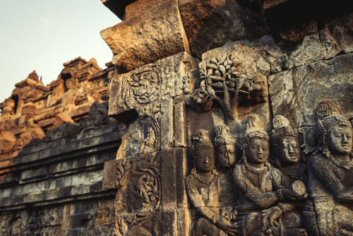  Buddhist Candi Borobudur, Java, Indonesia◕ alec mcclure  ◔ photoblog 