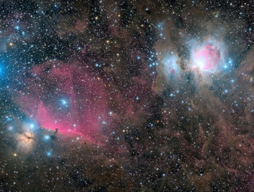 Orion