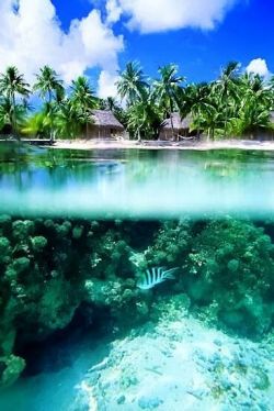 letheoceandrain:  tropico on We Heart It - http://weheartit.com/entry/74421569