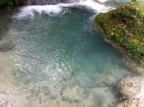 tiger-tropic: coastalpalms:  Vanuatu was so pretty  love the water