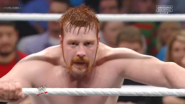 dixiewildflower:  Sheamus’ sex hair from last night.