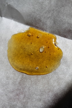 purloiner:  One gram of TerpX ‘91 Chem OG nectar from VMC in LA. 