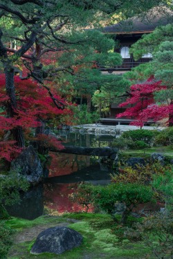 gezzaseyes:  Red and Green - Kyoto 2013
