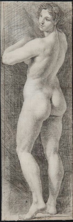 fabriciusitalicus:  Nudo femminile, Toscana, secolo XVIII, matita nera su carta bianca
