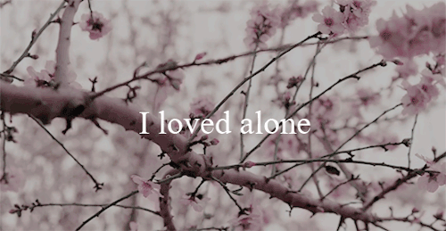 From The Same Source I Have Not Taken My Sorrow I Could Not Awaken My Heart To Joy At The Same Tone