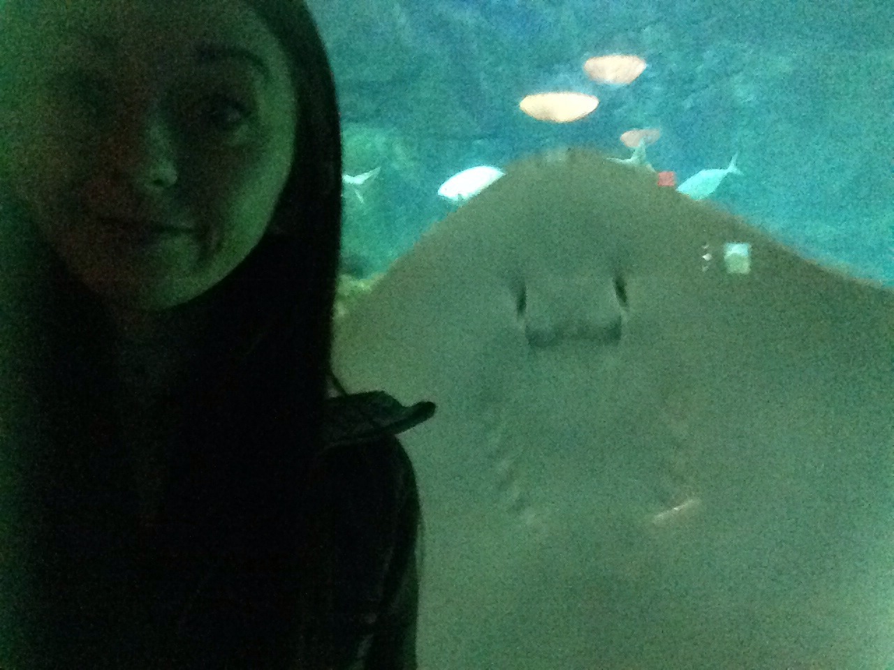 cummbunny:  the best selfie I have ever taken (ignore dumb face and look at that