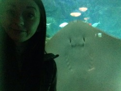 the best selfie I have ever taken (ignore dumb face and look at that smiley stingray)