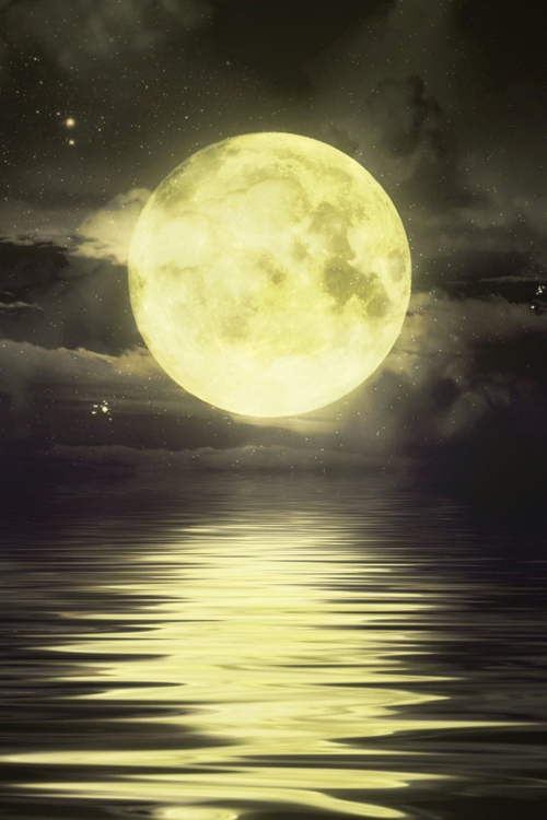 fruivenenum:  . 