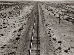 loverofbeauty:  Dorothea Lange:  Deserto