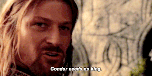 LORD OF THE RINGS: FELLOWSHIP OF THE RING