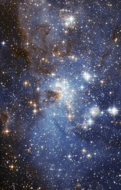 astronomicalwonders:  Star Formation in the Large Magellanic Cloud This area, listed as the LH 95  star forming region of the Large Magellanic Cloud, is located 150,000 light-years away in the constellation Dorado. This sharp image reveals a large number