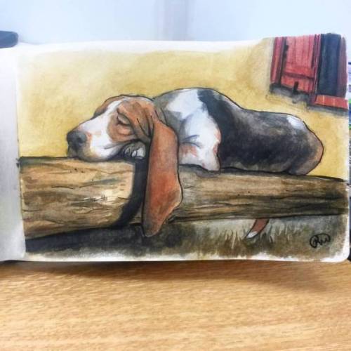 Watercolor Painting Of A Basset Hound. Watercolor And I Have Always Been Mortal Enemies; However, Im