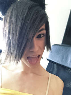 shirireblogs:  katiekawaii:  It’s my face :b  So cute!