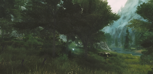 pxelbunny: Skyrim + lush grass