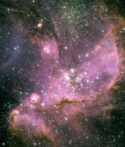  NGC 346, Young Dusty Stars