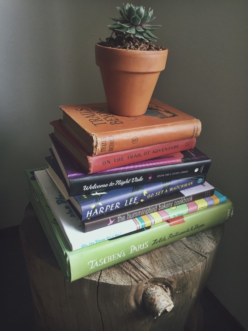 vampiresquidss:Some photos of the cute little book setup in our living room