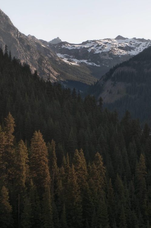 urbanissues: amazngnature:  amazngnature.tumblr.com | This is my favorite hike. Took me ages 