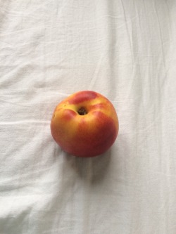 littlelonewolfx:Peachy