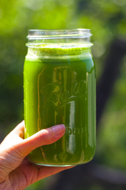 Olenko’s Green Detox Juice spinach kale apple lemon arugula cucumber parsley cilantro celery g