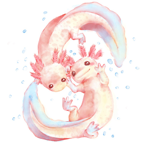 nevaehs-art:  Day 7 : Under water creatures Axolotl