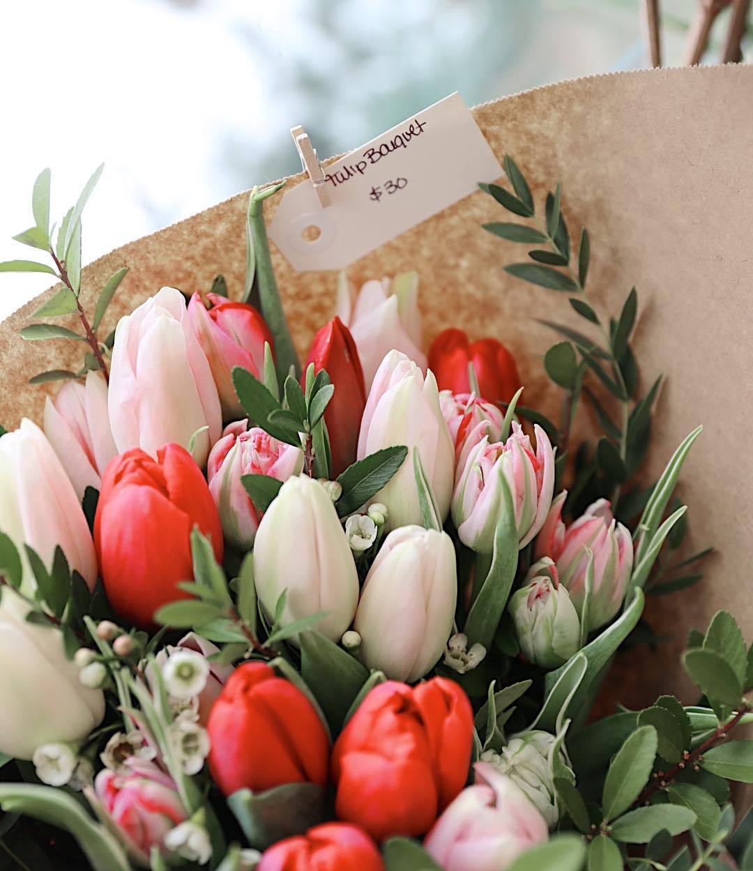 kcyang688:  @floralista | instagram