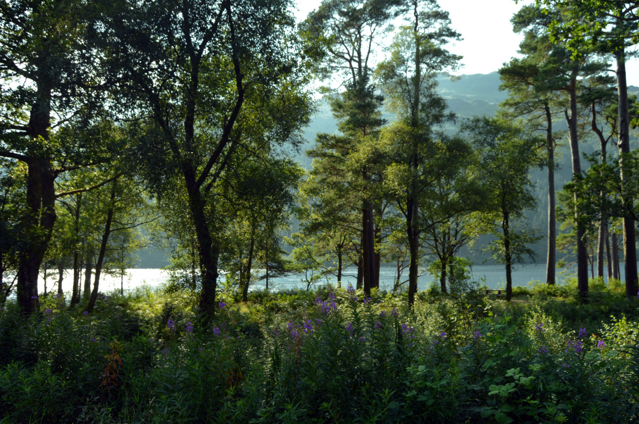 extreeordinary:  Dundee, Scotland. 