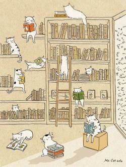 ebookfriendly:  Cat library #caturday http://ebks.to/23fsngS