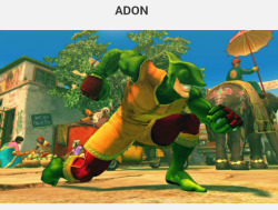 occurian:  tenshokyaku:  some new character pictures from the upcoming “wild” furry costume pack dlc  furries invade street fighter 