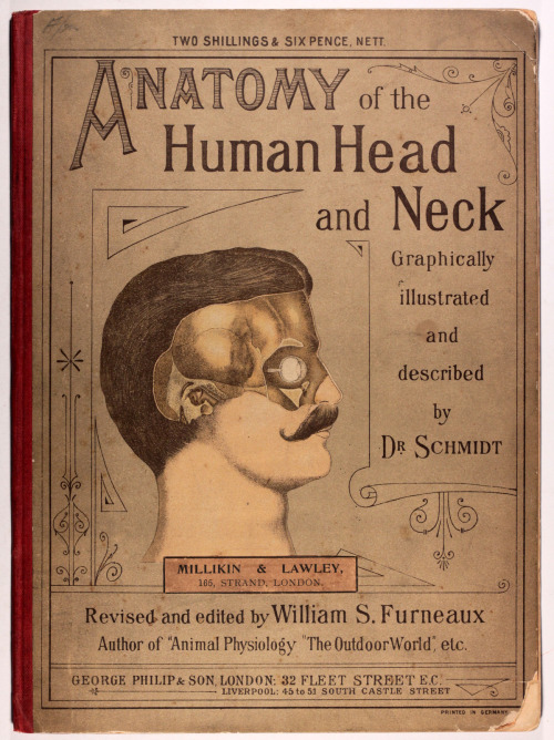michaelmoonsbookshop: The Anatomy of the Human Head and Neckgraphically illustrated by means of supe