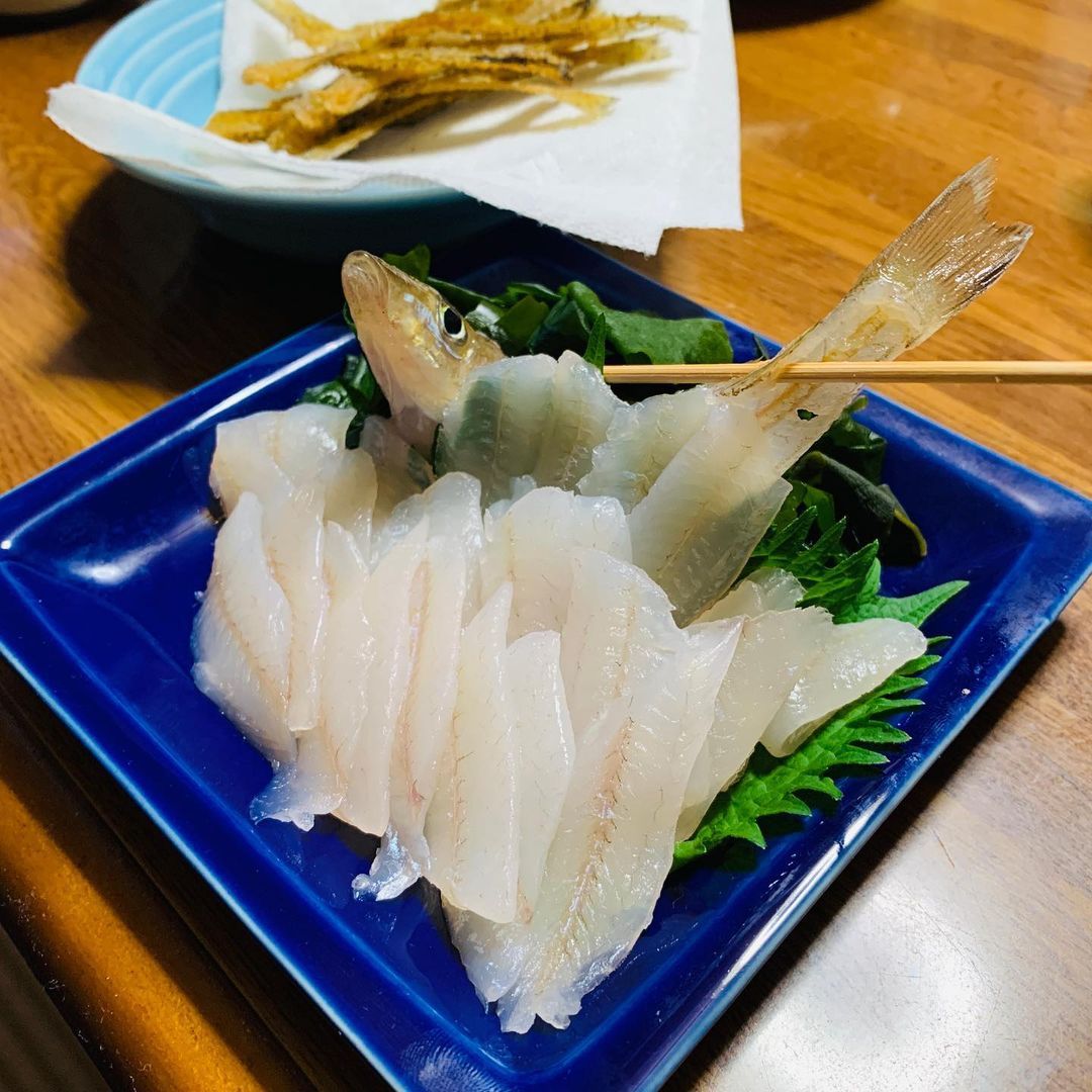 日々思うこと 北海道産クリオネ絶賛販売中 興味がある方はカトショクへ急げ クリオネ 北海道産 日々思うこと 北海道産クリオネ絶賛販売中 興味がある方はカトショクへ急げ クリオネ 北海道産
