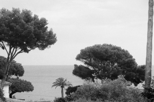 romaingimenez - 'THOSE ARE NOT PICTURES, THEY ARE IMAGES'