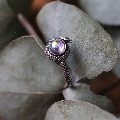 Hello Slytherin Sisters! Our Sterling Silver Apep Ring is on offer now in the May Ring Sale! www.sho