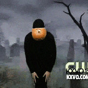 fallenleavesandfrostywishes:  someone: it’s the last month of summer. we better