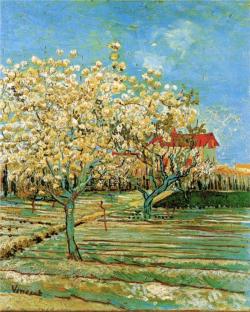 lonequixote:Orchard in Blossom ~ Vincent van Gogh