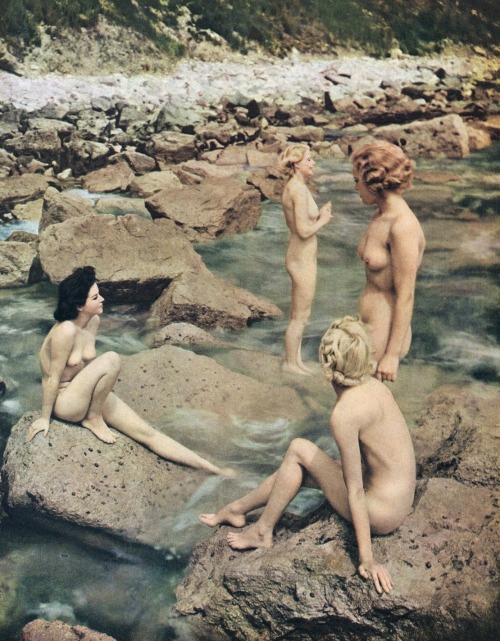 Sex alpha-venus:  pictures