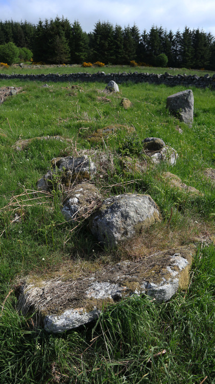 ‘Eslie The Lesser’ Stone Circle, nr Banchory, Scotland, 30.5.18.The last of three stone circles in c