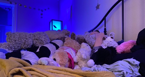 lauryn-order:Last night was a close one. We almost lost @baby-foxx! Thankfully we eventually found her buried under stuffie mountain. Phew! 