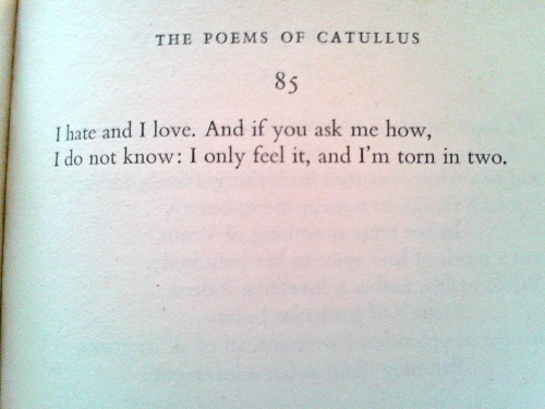 teashoesandhair:Favourite things: Catullus’ huge literary crush on Sappho. Most translati