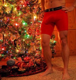 gymratskip:  midwestcockhound:  Nothing like a nice package beside the Christmas tree!  &ldquo;Since it was a Christmas party at my house, I let the guys open up their gifts early!&rdquo; &ldquo;Shawn is shown here showing off his VPL through his new