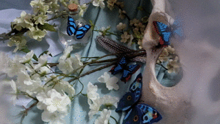 camdamage:  metamorphosis in motion | cam damage by self[more here]