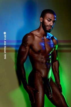 Princesofebony: January 10, 2015   Royal Lighting Color Influence 