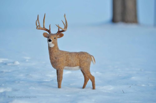 Needle Felted Whitetail Buck by Teresa Perleberg