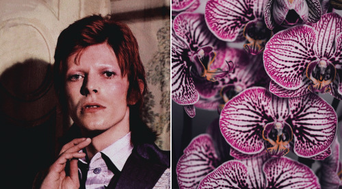 (1973)gallery tags (x)Bowie by Jean-Pierre Leloir