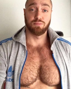 Hairs, Bears and Underwears