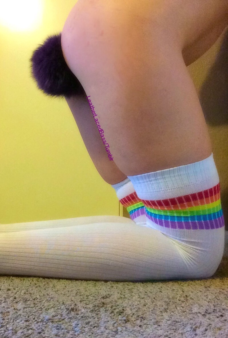 leatherlacedbass:  Pet the bunny💜🐰💜 Tail from crystaldelights Here Please