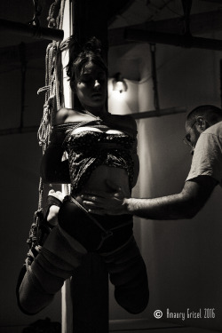 amaury-grisel-shibari:  @franckievega tied