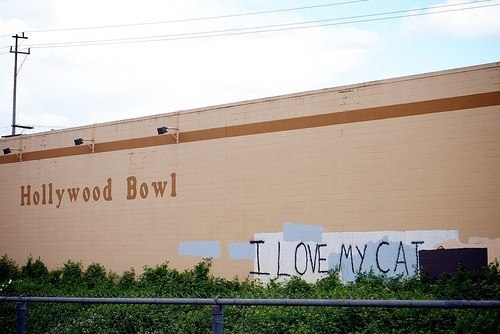pdx graffiti rocks