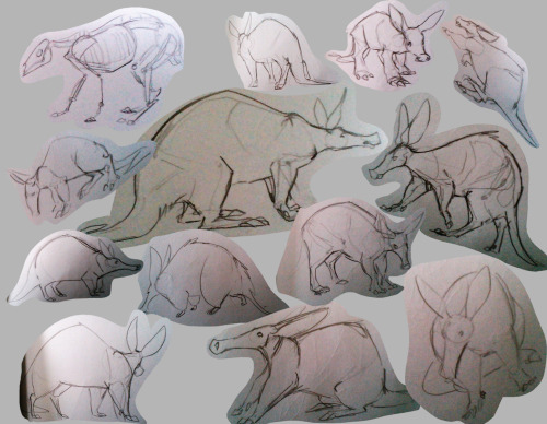 anitagaughan:  Thinking of doing a weekly animal A-Z thing - Some quick sketches and a rough animation based off that. (Sketches are REALLY low quality, sorry - no scanner and a temperamental webcam…) Week 1 - Aardvark